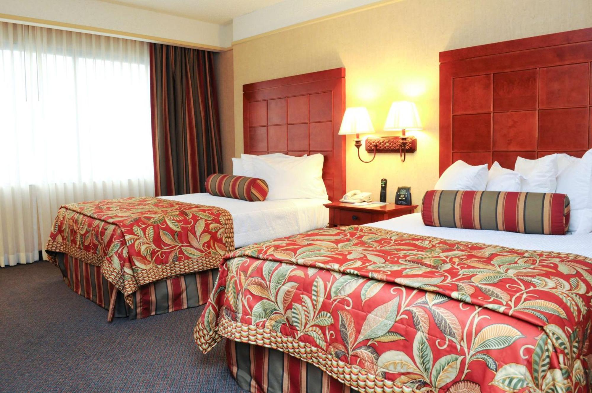 Embassy Suites San Antonio Airport Quarto foto